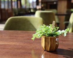 Restaurant interieur fotografie