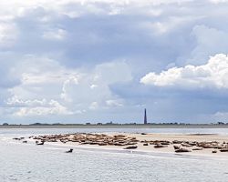 derazendeboltexel