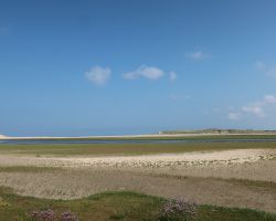 desluftertexel