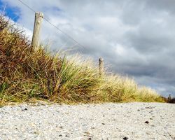 schelpenpadtexel