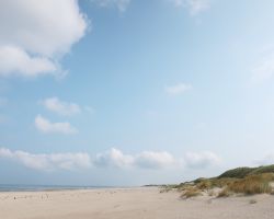 sluftertexel
