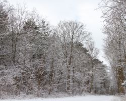 sneeuwoptexel