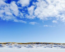 sneeuwtexel