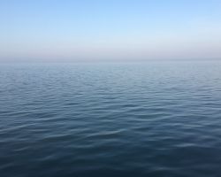 waddenzeetexel