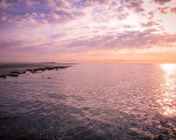 zonsondergangtexelzeehonden