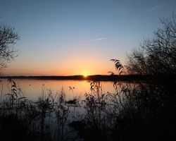 zonsopgangdehorstexel
