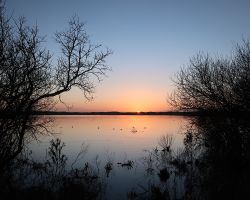 zonsopgangtexel