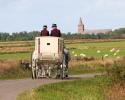 trouwvervoer koets paarden