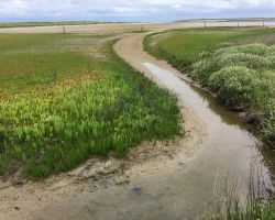texelduingebied