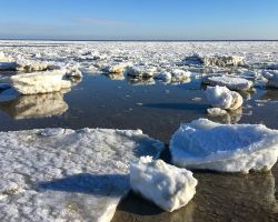 winteroptexel