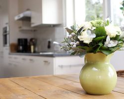 Blommenhuisje Texel Fotograaf 