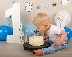 Cakesmasg thema nijntje