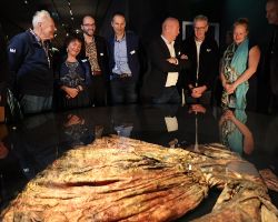 De Jurk museum Kaap Skil