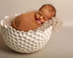 Newborn Foto Texel