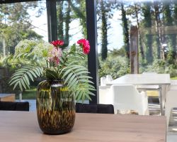 Bungalow De Krim texel fotografie