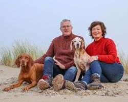 Honden op Texel