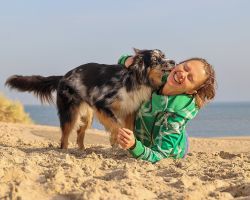 Hond op strand Texel