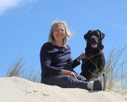 Hond in de duinen Texel