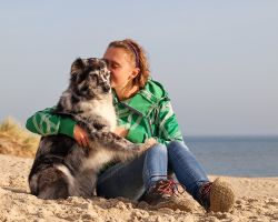 Hond op strand Texel