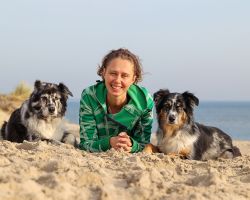 Honden in de duinen Texel