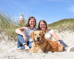Hond op Texel
