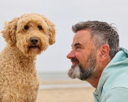 Honden foto texel