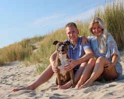 Hond in duinen van Texel
