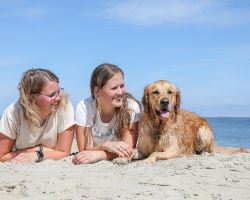 Fotoshoot met hond op strand Texel
