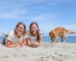 Loslopende hond op Texel