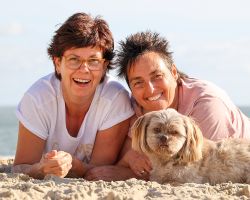 Hond op strand van Texel
