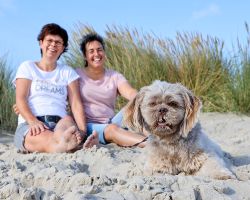 Hond op strand Texel