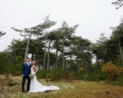 trouwfoto bos texel