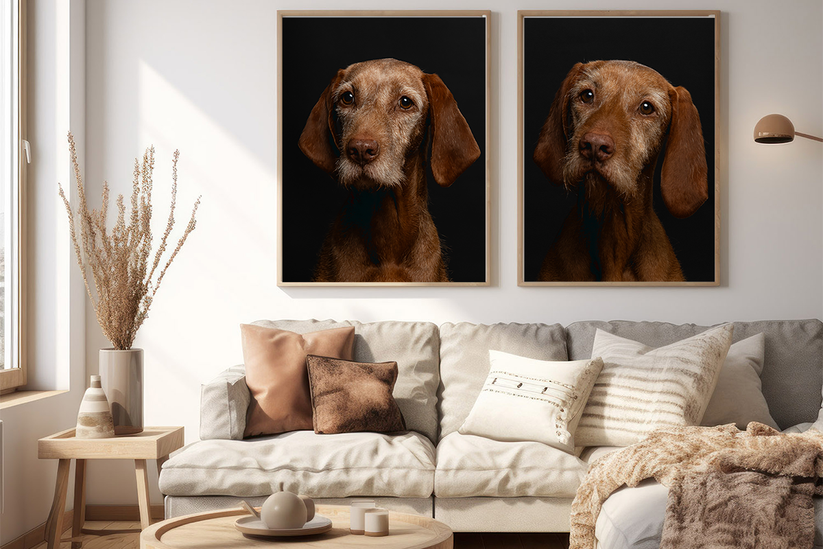 Portretjesdag Foto Sanne zijaanzicht collage 